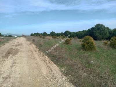 Tekirdağ Şarköy Kocaali Mahallesi Satılık Tarla 2