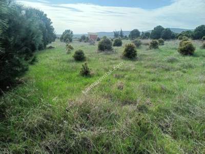 Tekirdağ Şarköy Kocaali Mahallesi Satılık Tarla 3