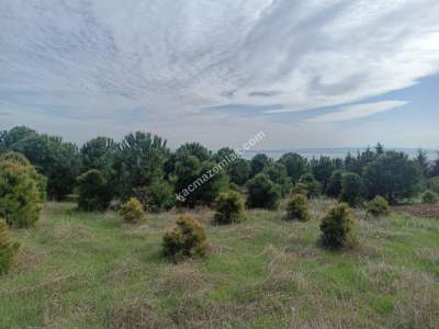 Tekirdağ Şarköy Kocaali Mahallesi Satılık Tarla 1