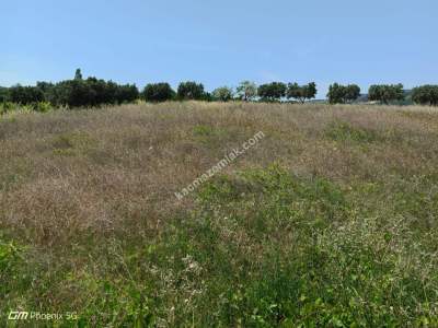 Tekirdağ Şarköy Mursallı Mahallesinde Satılık Tarla 10