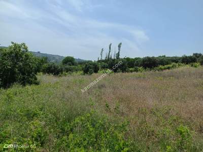 Tekirdağ Şarköy Mursallı Mahallesinde Satılık Tarla 12