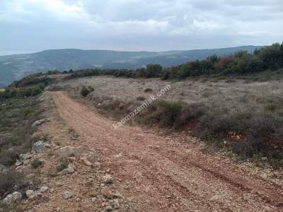 Tekirdağ Şarköy Tepeköy Mahallesi Satılık Tarla 2