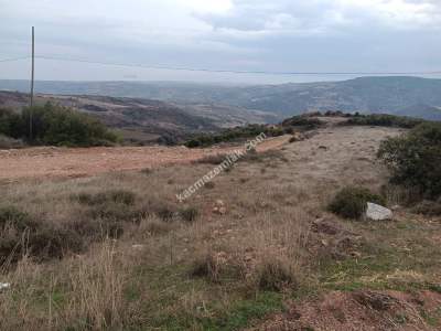 Tekirdağ Şarköy Tepeköy Mahallesi Satılık Tarla 4