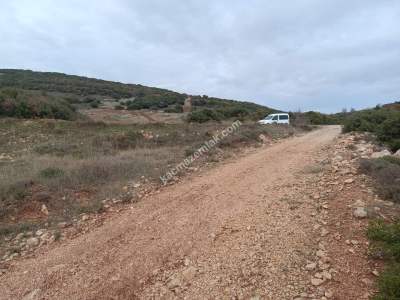 Tekirdağ Şarköy Tepeköy Mahallesi Satılık Tarla 3