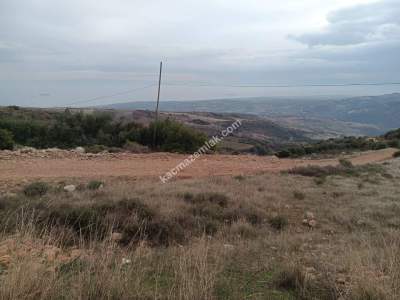 Tekirdağ Şarköy Tepeköy Mahallesi Satılık Tarla 5