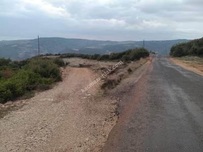 Tekirdağ Şarköy Tepeköy Mahallesi Satılık Tarla 1