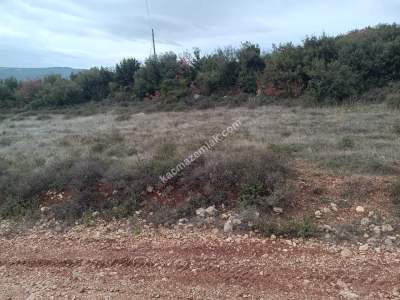 Tekirdağ Şarköy Tepeköy Mahallesi Satılık Tarla 7