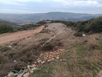 Tekirdağ Şarköy Tepeköy Mahallesi Satılık Tarla 6