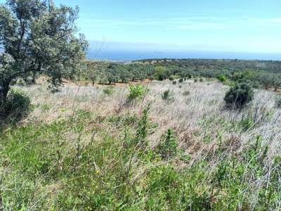 Tekirdağ Şarköy Tepeköy Mahallesi Satılık Tarla 3