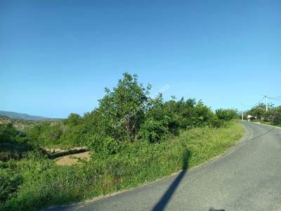 Tekirdağ Şarköy Tepeköy Mah. Satılık Asfalt Sıfır Tarla 6