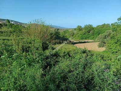 Tekirdağ Şarköy Tepeköy Mah. Satılık Asfalt Sıfır Tarla 3