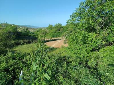 Tekirdağ Şarköy Tepeköy Mah. Satılık Asfalt Sıfır Tarla 5