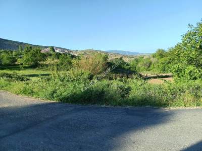 Tekirdağ Şarköy Tepeköy Mah. Satılık Asfalt Sıfır Tarla 2