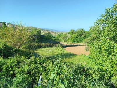 Tekirdağ Şarköy Tepeköy Mah. Satılık Asfalt Sıfır Tarla 4