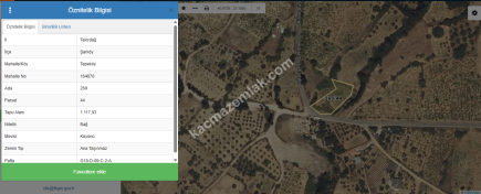 Tekirdağ Şarköy Tepeköy Mah. Satılık Asfalt Sıfır Tarla 7
