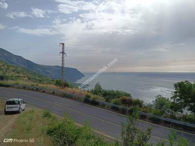 Tekirdağ Şarköy Uçmakderede Satılık Arazi Tarla