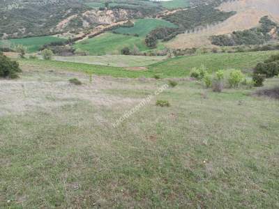 Tekirdağ Şarköy Yeniköy Mahallesi Satılık Tarla 5