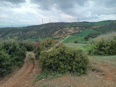 Tekirdağ Şarköy Yeniköy Mahallesi Satılık Tarla 7