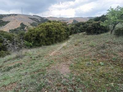 Tekirdağ Şarköy Yeniköy Mahallesi Satılık Tarla 3