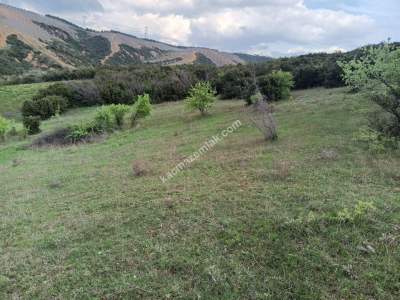 Tekirdağ Şarköy Yeniköy Mahallesi Satılık Tarla 6