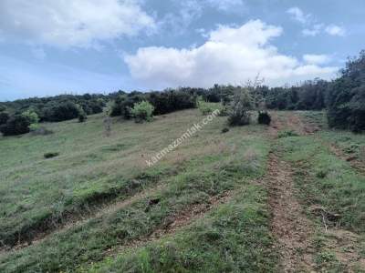 Tekirdağ Şarköy Yeniköy Mahallesi Satılık Tarla 2
