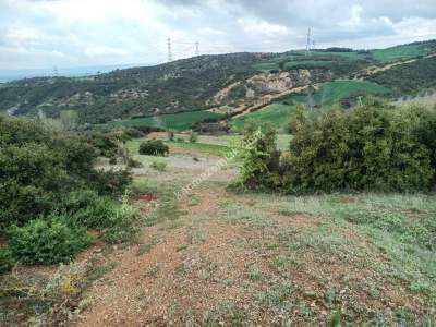 Tekirdağ Şarköy Yeniköy Mahallesi Satılık Tarla 8