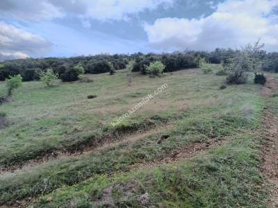 Tekirdağ Şarköy Yeniköy Mahallesi Satılık Tarla 4