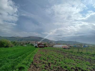 Tekirdağ Şarköy Yeniköy Mahallesi Satılık İmarlı Tarla 1