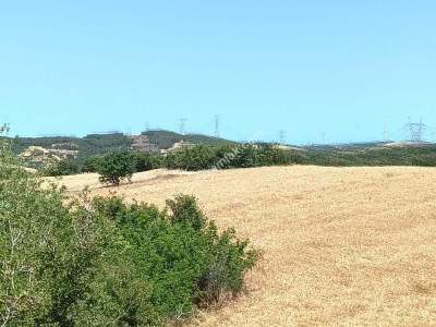 Tekirdağ Şarköy Yeniköy Mahallesi Satılık Tarla 3