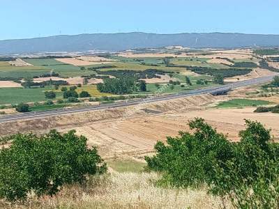 Tekirdağ Şarköy Yeniköy Mahallesi Satılık Tarla 1