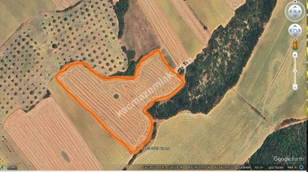 Tekirdağ Şarköy Yeniköy Mahallesi Satılık Tarla 14