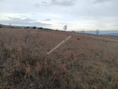 Tekirdağ Şarköy Yukarıkalamış Mah.satılık Tarla 3