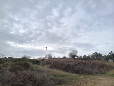 Tekirdağ Şarköy Yukarıkalamış Mah.satılık Tarla 1