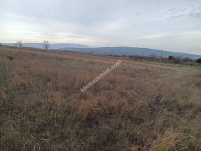Tekirdağ Şarköy Yukarıkalamış Mah.satılık Tarla 5