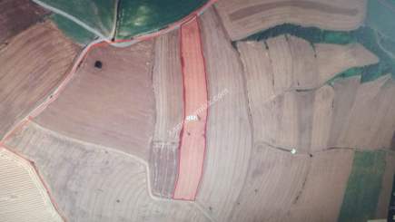 Tekirdağ Nusratlı Mah Muhteşem 24 Dönüm Süper Araz 4