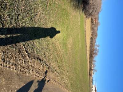 Satılık İmar Sınırında Tarla 9