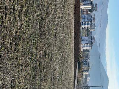 Satılık İmar Sınırında Tarla 17