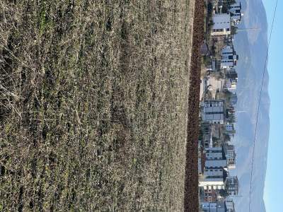 Satılık İmar Sınırında Tarla 13