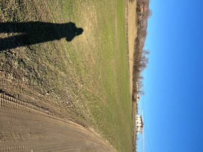 Satılık İmar Sınırında Tarla 19