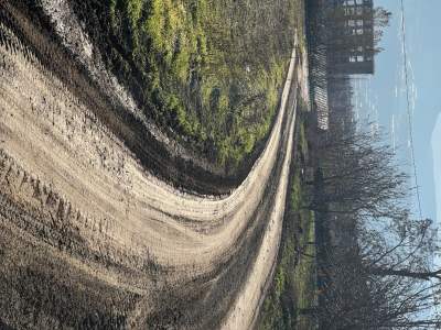 Satılık İmar Sınırında Tarla 15