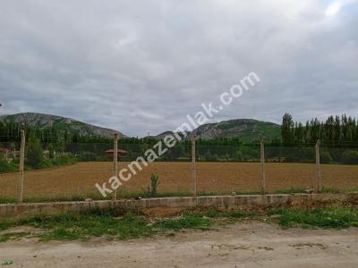 Kaçmaz Emlaktan Turhal Yolu Üzeri 12400 M2 Arsa 2