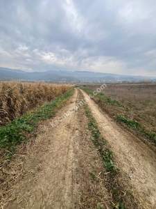 Tokat Niksar Çimenözü Mevkinde Satılık Tarla
