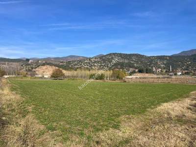 Niksar Çimenözü Mevkiinde Satılık Tarla 1