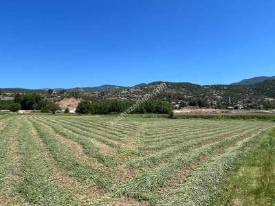 Niksar Çimenözü Mevkiinde Satılık Tarla 2