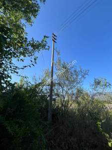 Niksar Erzincan Yolu D-100 E Sıfır Tarla 6