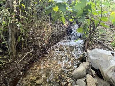 Niksar Erzincan Yolu D-100 E Sıfır Tarla 2