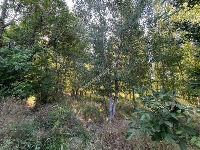 Niksar Erzincan Yolu D-100 E Sıfır Tarla 7