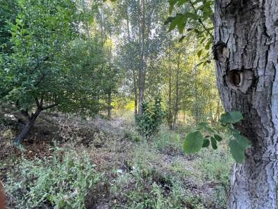 Niksar Erzincan Yolu D-100 E Sıfır Tarla 3