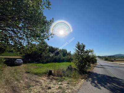 Niksar Erzincan Yolu D-100 E Sıfır Tarla 1