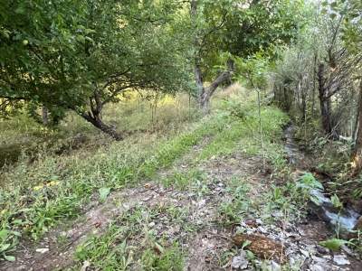 Niksar Erzincan Yolu D-100 E Sıfır Tarla 4